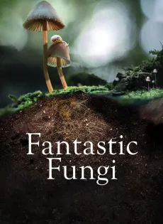 เห็ดมหัศจรรย์ Fantastic Fungi (2019)