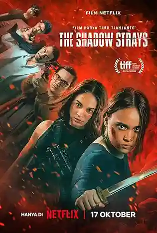 The Shadow Strays (2024) นักฆ่าเงาล่าทรชน