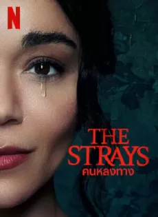 คนหลงทาง The Strays (2023)
