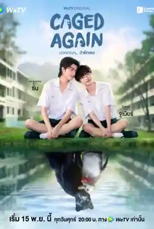Caged Again (2024) บอกกรงๆ ว่ารักเธอ