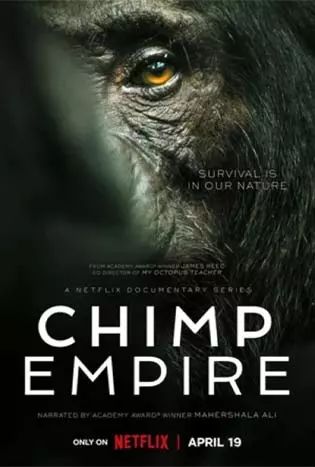 Chimp Empire (2023) อาณาจักรชิมแปนซี