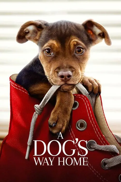 เพื่อนรักผจญภัยสี่ร้อยไมล์ A Dog’s Way Home (2019)