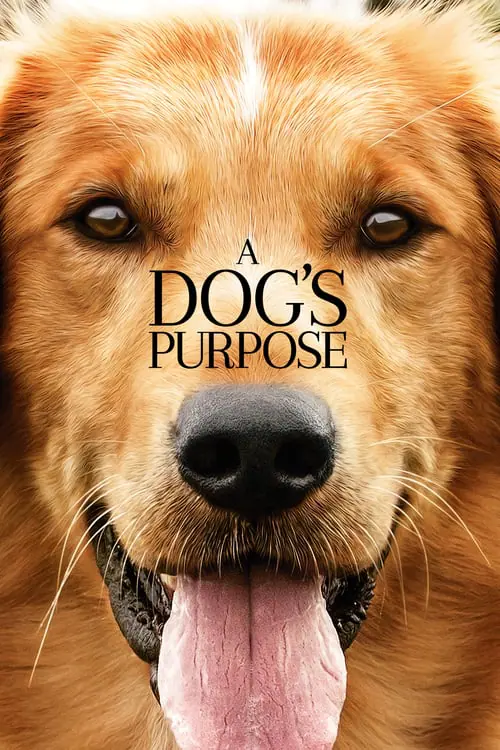 หมา เป้าหมาย และเด็กชายของผม A Dog’s Purpose (2017)