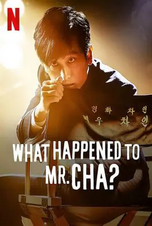 ชาอินพโย สุภาพบุรุษสุดขั้ว What Happened to Mr Cha (2021)