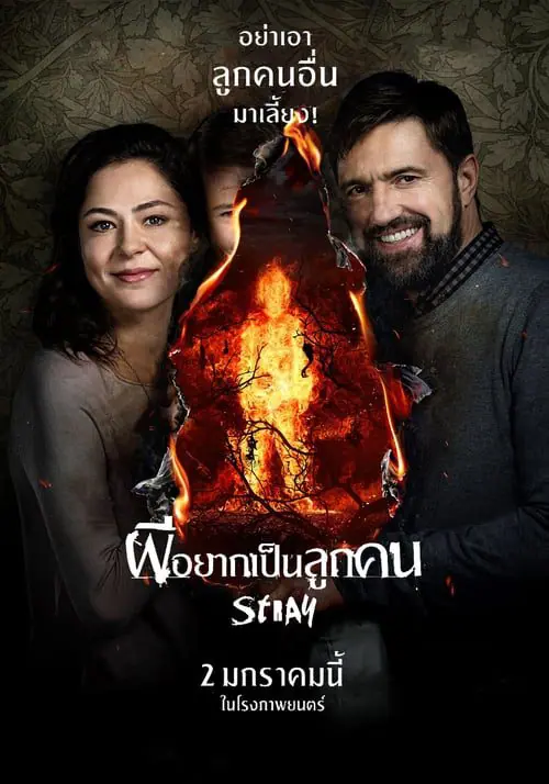ผีอยากเป็นลูกคน Stray (Tva) (2019)
