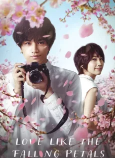 ใบไม้ผลิที่ไม่มีเธอเป็นซากุระ (2022) Love Like the Falling Petals