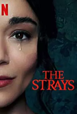 The Strays (2023) คนหลงทาง