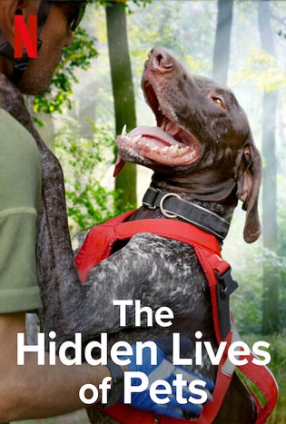 The Hidden Lives of Pets (2022)
