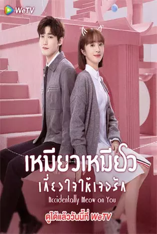 Accidentally Meow On You (2022) เหมียวเหมียวเกี่ยวใจให้เจอรัก