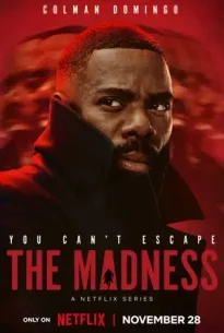 The Madness (2024) เหยื่อข่าวคลั่ง