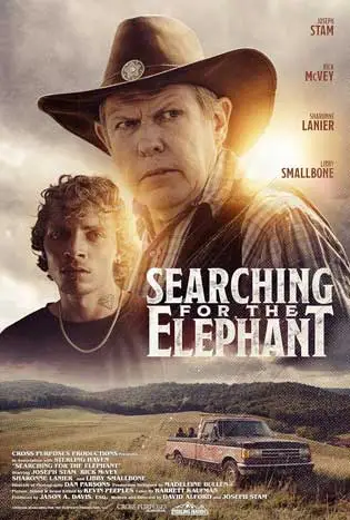 Searching for the Elephant (2024)