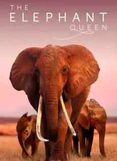 อัศจรรย์ราชินีแห่งช้าง The Elephant Queen (2019)