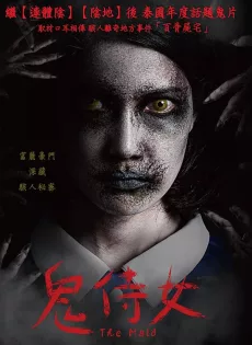 สาวลับใช้ The Maid (2020)