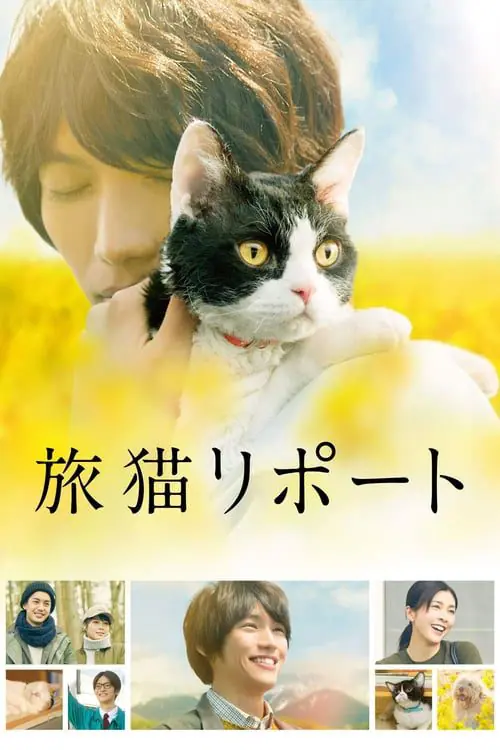 ผม แมว และการเดินทางของเรา The Travelling Cat Chronicles (2018)