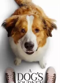 หมา เป้าหมาย และเด็กชายของผม 2 A Dog’s Journey (2019)