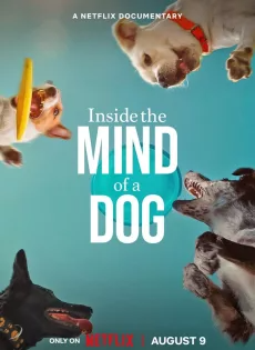 อ่านใจสุนัข (2024) Inside the Mind of a Dog